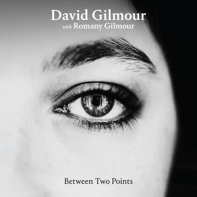 David Gilmour Between Two Points Remixes - RSD 2025