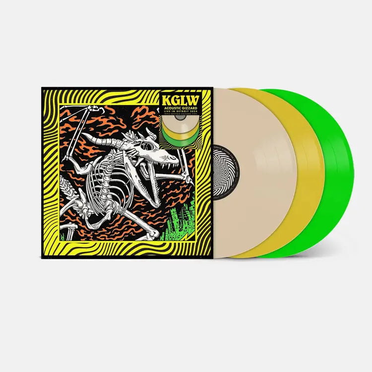 King Gizzard and The Lizard Wizard Acoustic Gizzard - Live in Detroit 2024