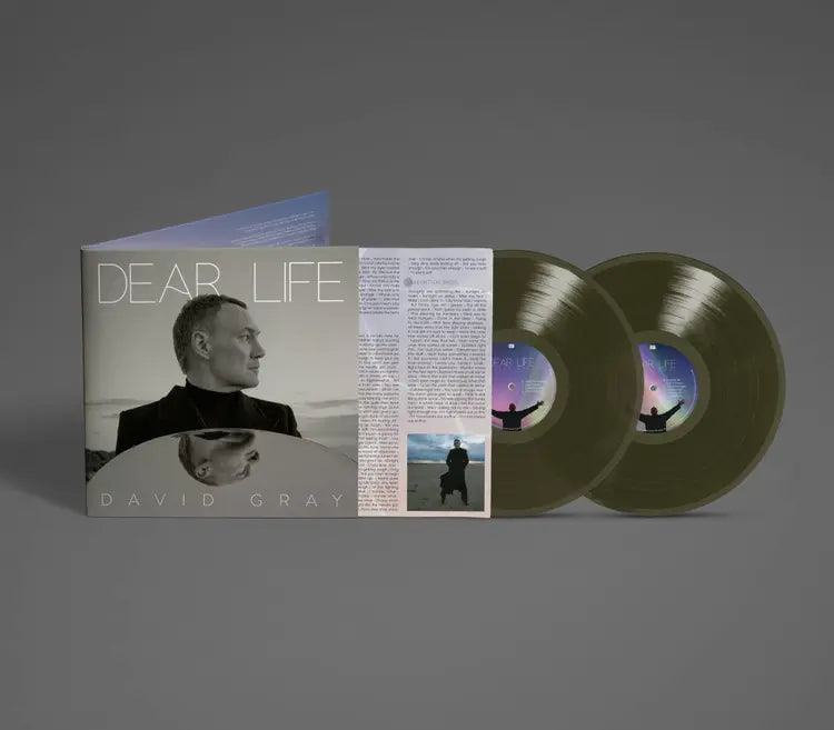 David Gray Dear Life - Green 2lp