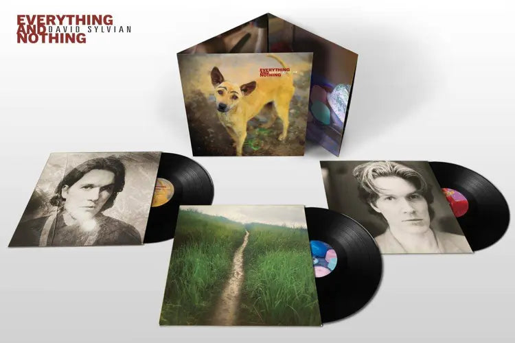 David Sylvian Everything and Nothing