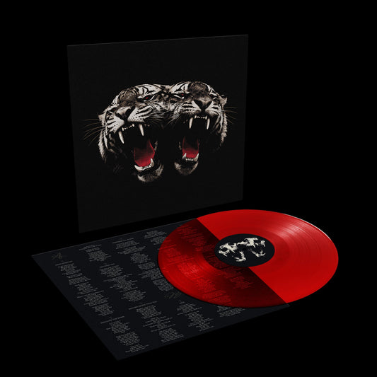 Royal Blood  Title DEAD COMPANY - Due 13/11/26
