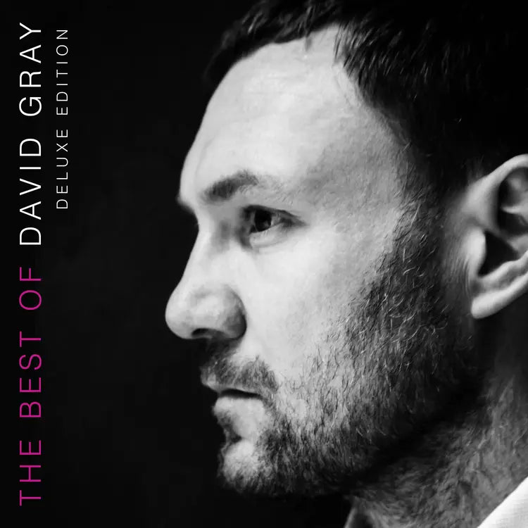 David Gray The Best of David Gray