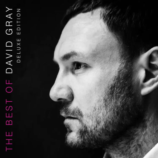 David Gray The Best of David Gray